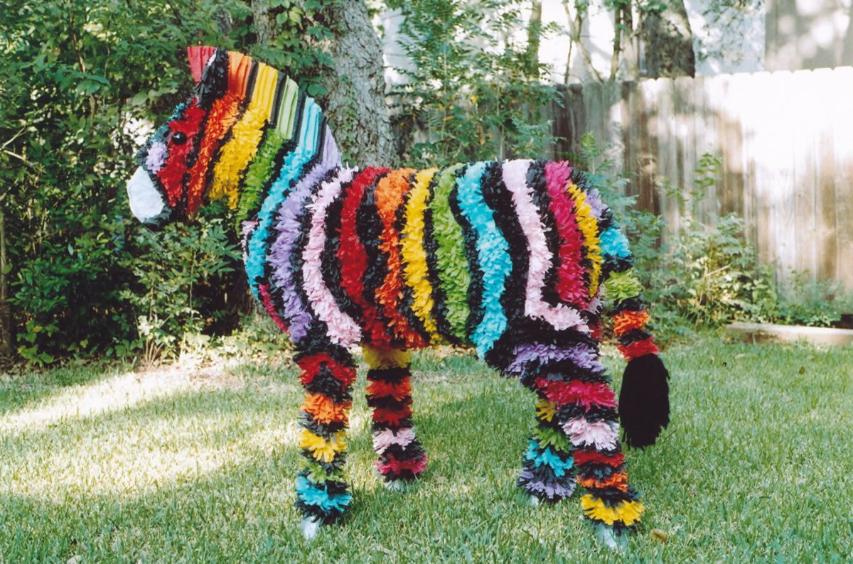 Make a Zebra Piñata Boy