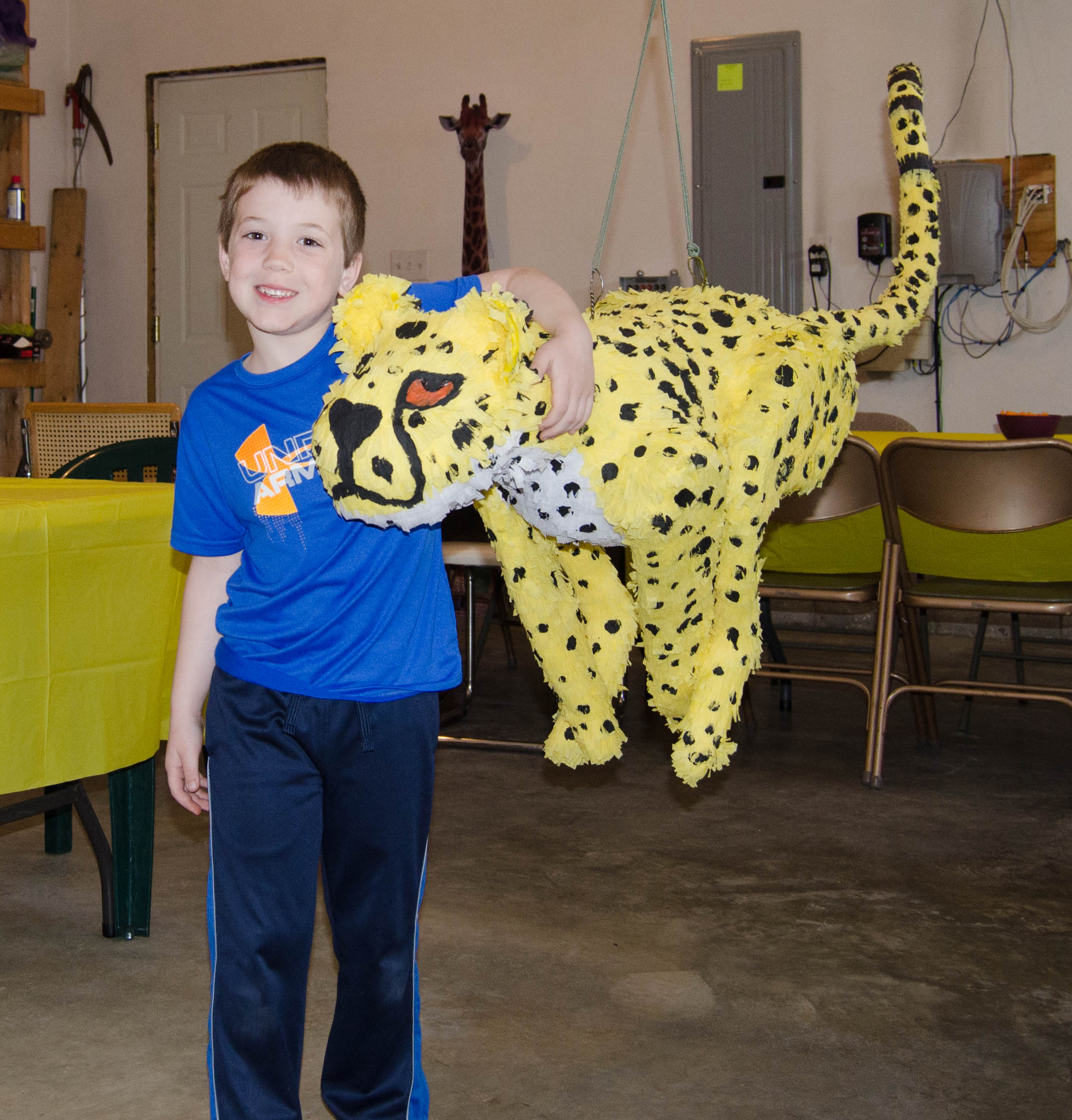 Cheetah - Piñata Boy